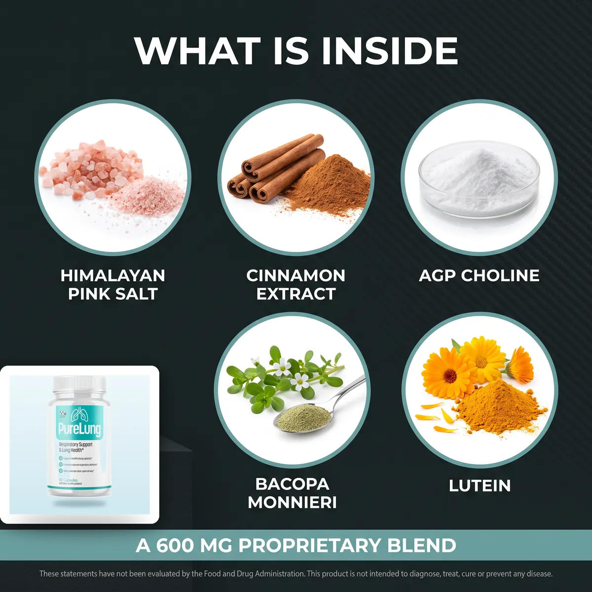 What is inside PureLung: Himalayan pink salt, cinnamon extract, AGP choline, bacopa monnieri and lutein in a 600 mg proprietary blend